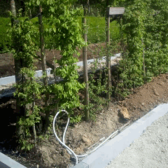 travaux.gif
